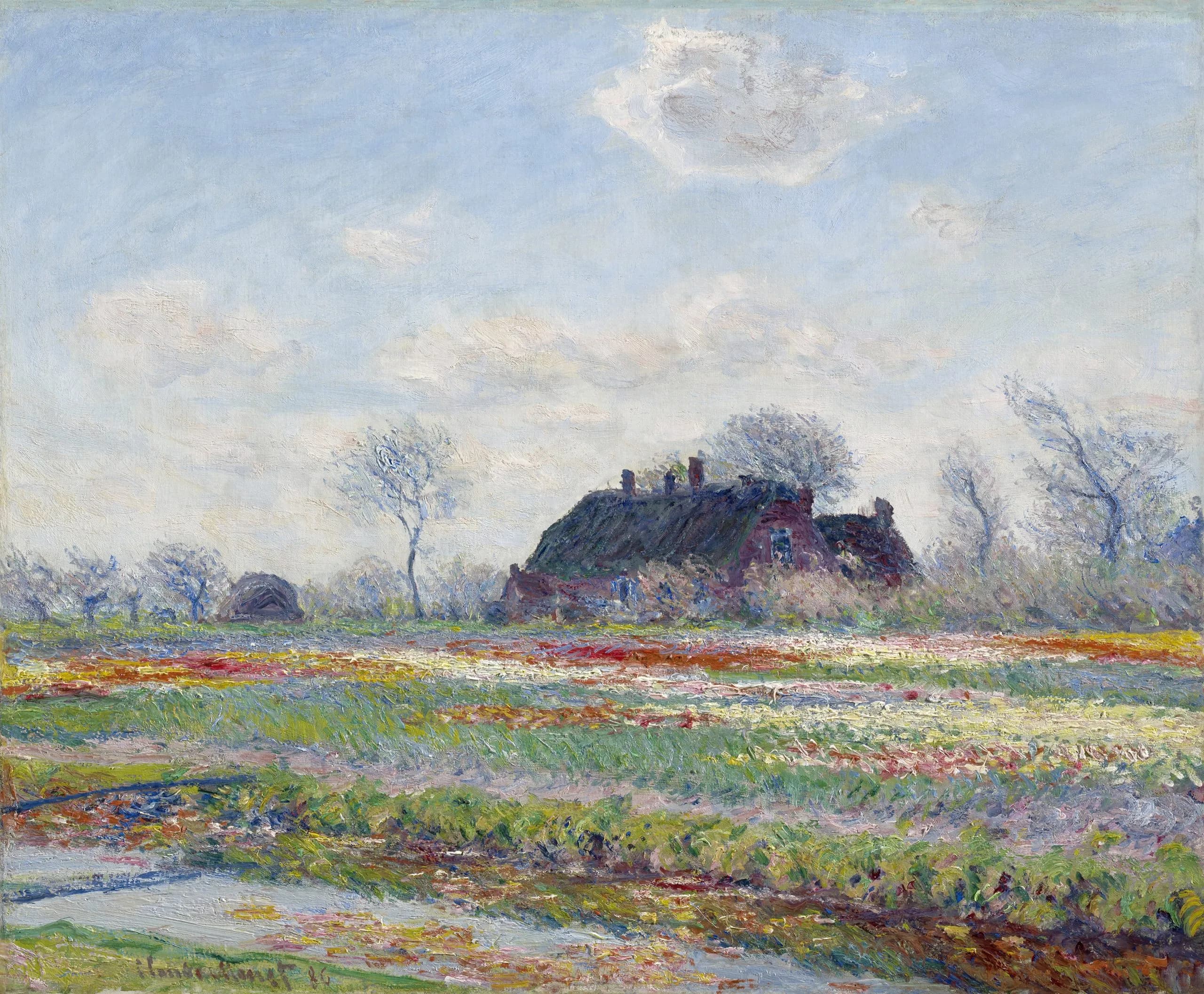Tulip Fields at Sassenheim, painting by Claude Monet